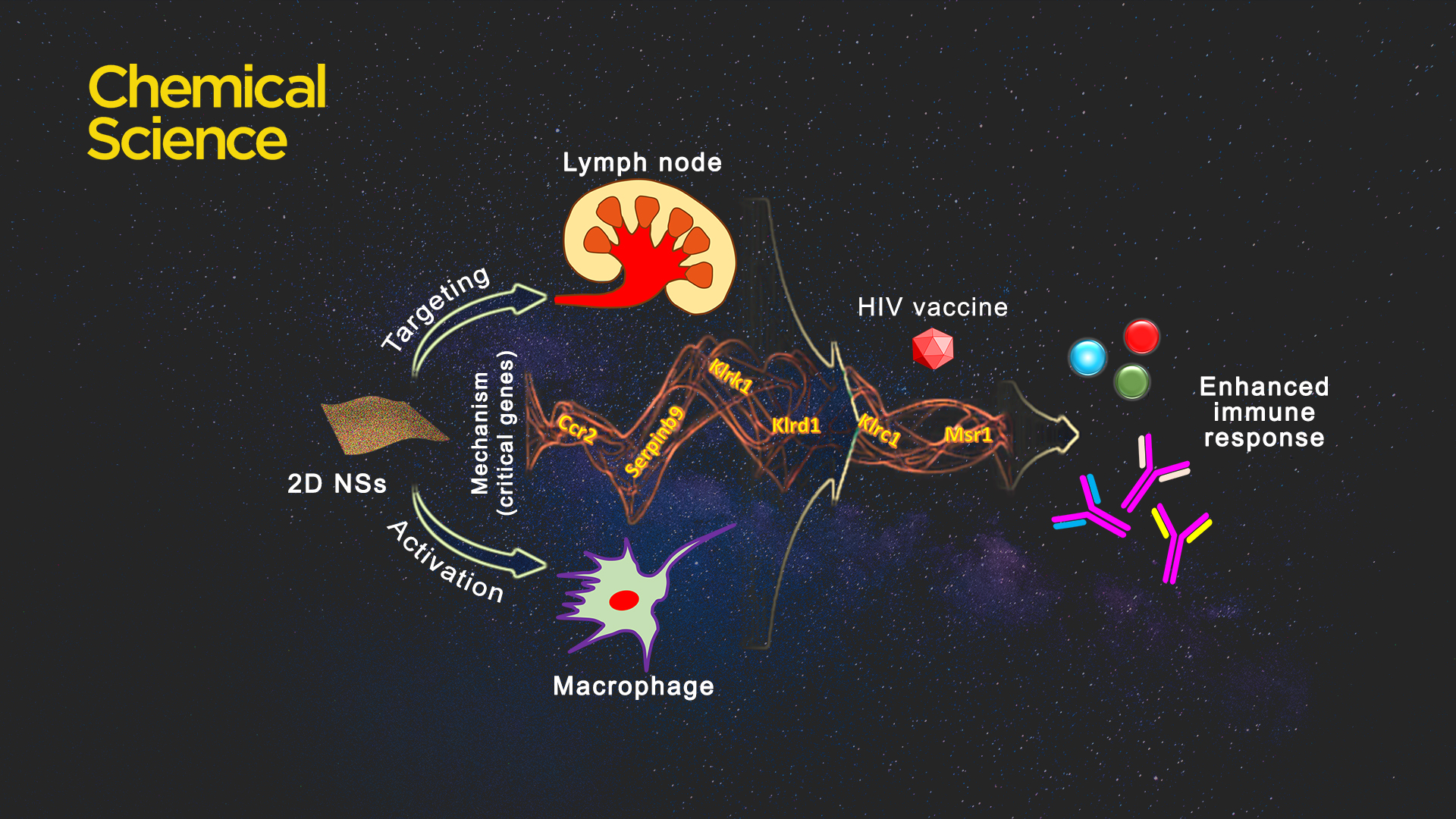 南科大微流控-纳米医学课题组在提高HIV疫苗效力方面取得新进展