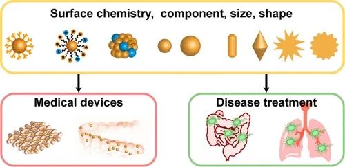 科研成果丨南科大微流控-纳米医学课题组在金纳米材料对抗多重耐药细菌领域取得新进展